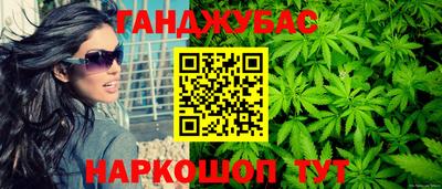 гашик Будённовск