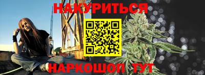 гашик Будённовск