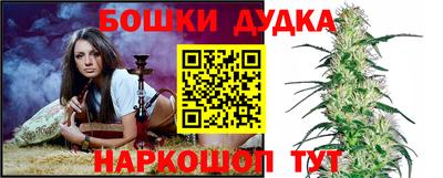 гашик Будённовск