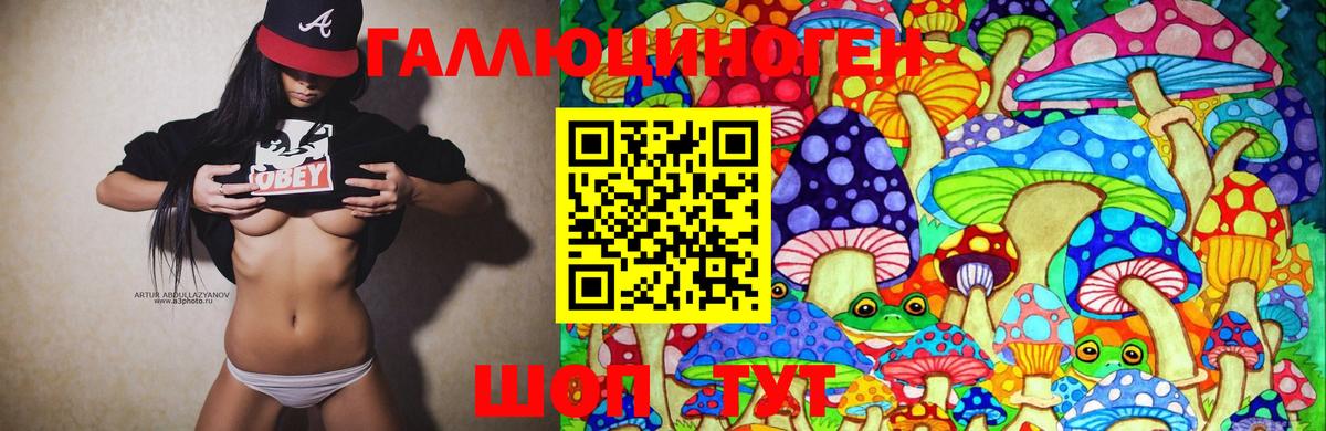 купить  цена  Вход с VPN  Реутов  Галлюциногенные грибы Psilocybine cubensis  Галлюциногенные грибы GOLDEN TEACHER 