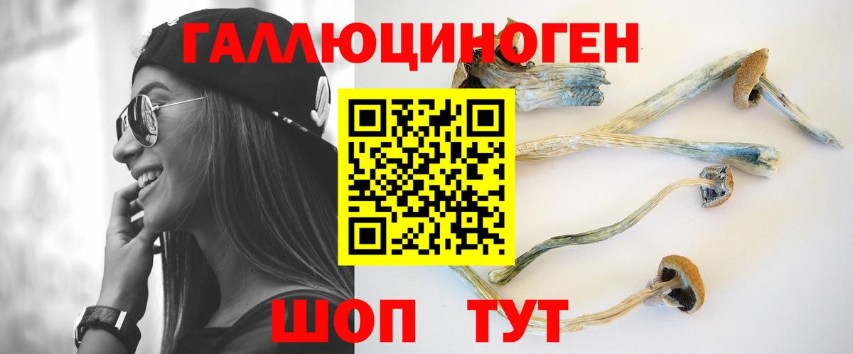 Псилоцибиновые грибы MAGIC MUSHROOMS Реутов